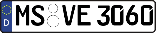 MS-VE3060