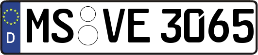 MS-VE3065