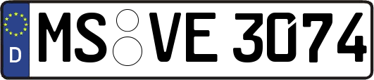 MS-VE3074
