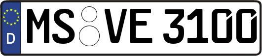 MS-VE3100