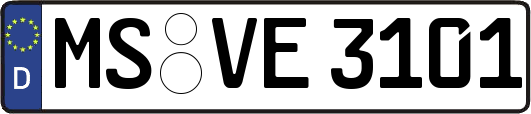 MS-VE3101