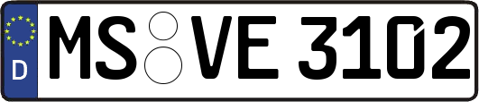 MS-VE3102