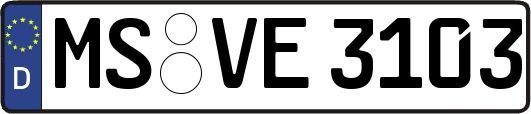 MS-VE3103