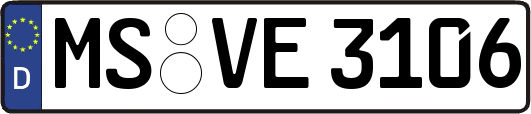 MS-VE3106