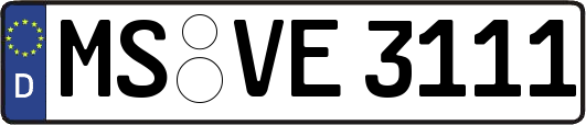 MS-VE3111