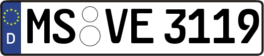 MS-VE3119