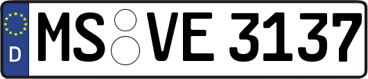 MS-VE3137
