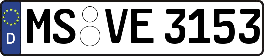 MS-VE3153