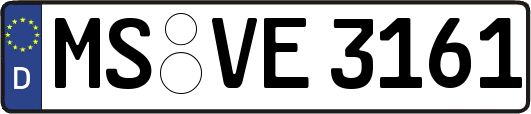 MS-VE3161