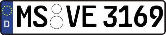 MS-VE3169
