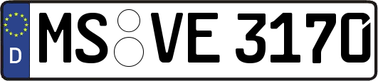 MS-VE3170