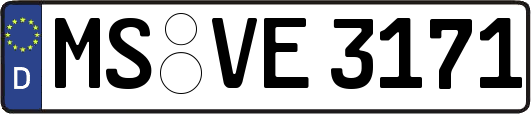 MS-VE3171