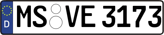 MS-VE3173
