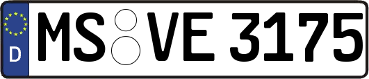 MS-VE3175