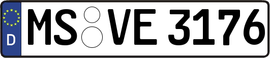MS-VE3176
