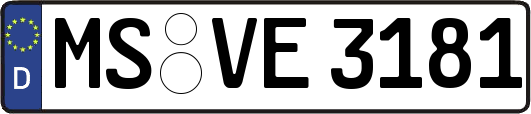 MS-VE3181