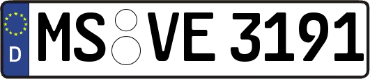 MS-VE3191
