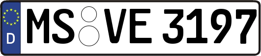 MS-VE3197