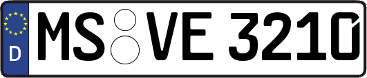 MS-VE3210