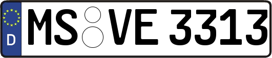 MS-VE3313