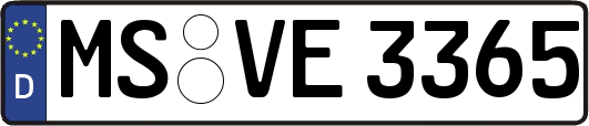MS-VE3365