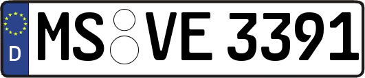 MS-VE3391