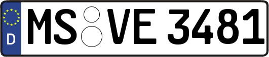 MS-VE3481
