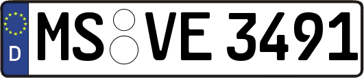 MS-VE3491