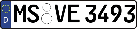 MS-VE3493