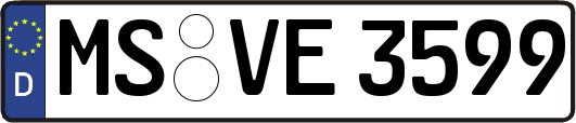 MS-VE3599