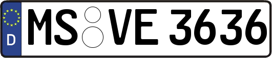 MS-VE3636