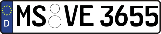 MS-VE3655