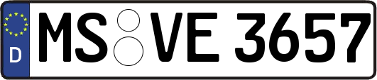 MS-VE3657