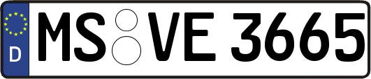 MS-VE3665