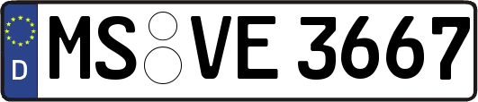 MS-VE3667