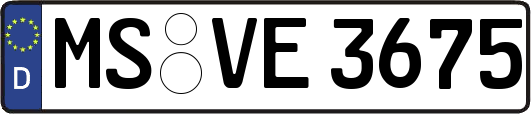 MS-VE3675