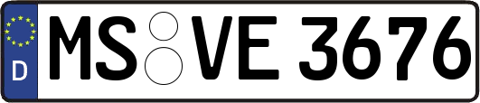 MS-VE3676