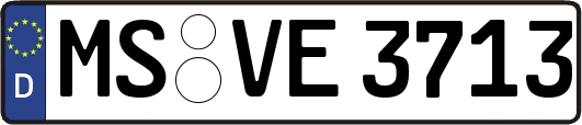 MS-VE3713