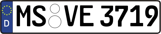 MS-VE3719