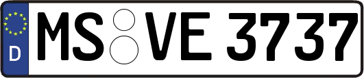 MS-VE3737