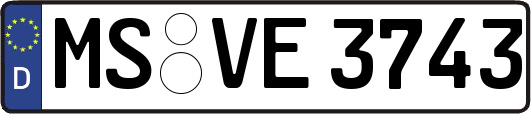 MS-VE3743