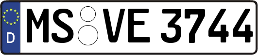 MS-VE3744