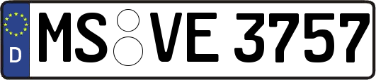 MS-VE3757