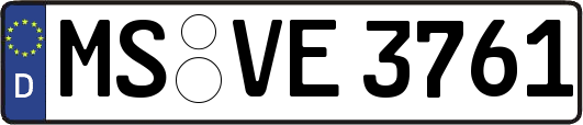MS-VE3761