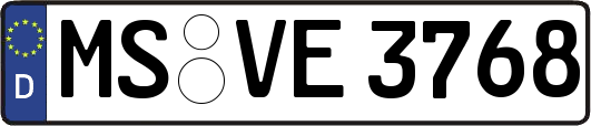 MS-VE3768