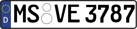 MS-VE3787