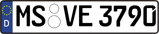 MS-VE3790