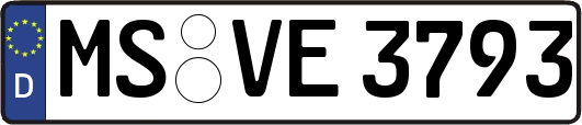 MS-VE3793