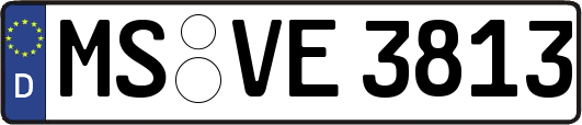 MS-VE3813