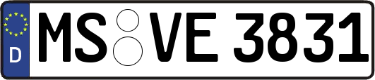 MS-VE3831